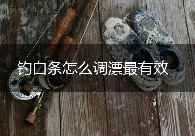 钓白条怎么调漂最有效