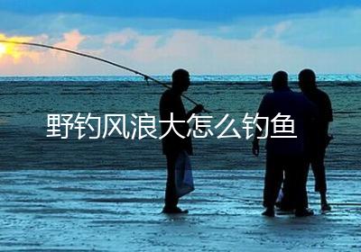 野钓风浪大怎么钓鱼