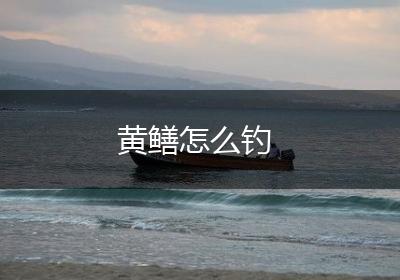 黄鳝怎么钓