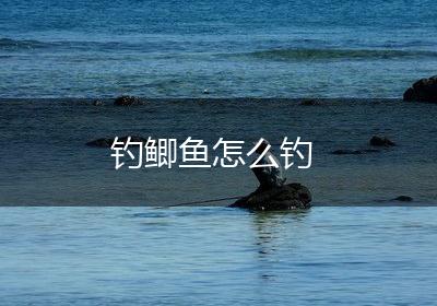 钓鲫鱼怎么钓