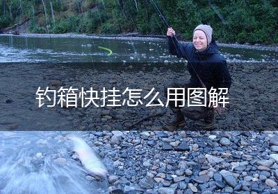 钓箱快挂怎么用图解