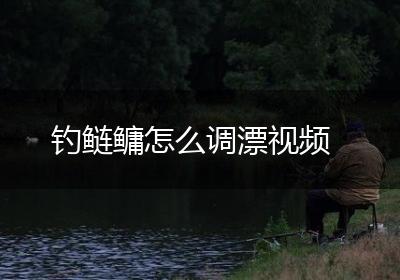 钓鲢鳙怎么调漂视频