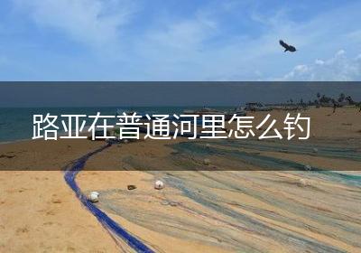 路亚在普通河里怎么钓