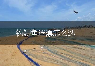 钓鲫鱼浮漂怎么选