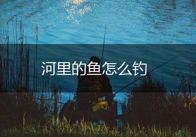 河里的鱼怎么钓