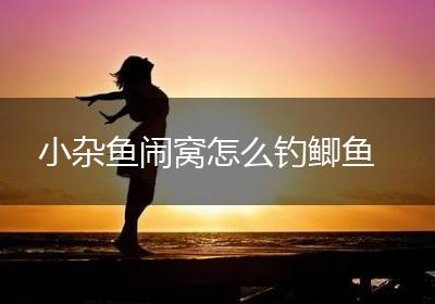小杂鱼闹窝怎么钓鲫鱼