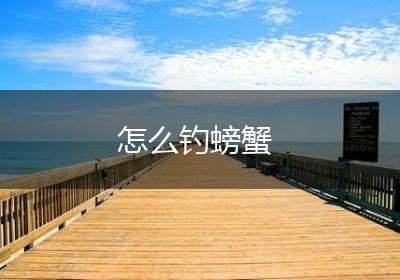 怎么钓螃蟹