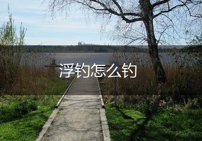 浮钓怎么钓