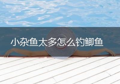 小杂鱼太多怎么钓鲫鱼