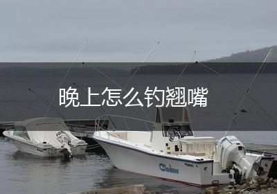 晚上怎么钓翘嘴