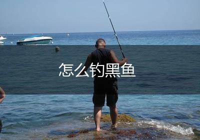 怎么钓黑鱼