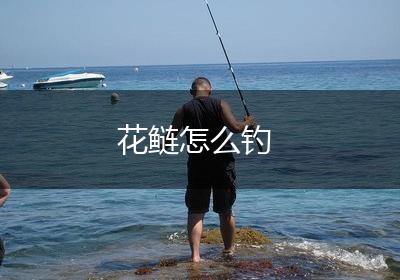 花鲢怎么钓