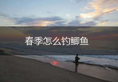 春季怎么钓鲫鱼