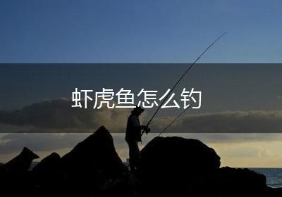 虾虎鱼怎么钓