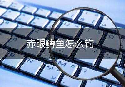 赤眼鳟鱼怎么钓