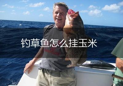 钓草鱼怎么挂玉米