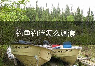 钓鱼钓浮怎么调漂