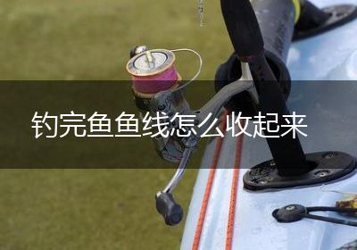 钓完鱼鱼线怎么收起来