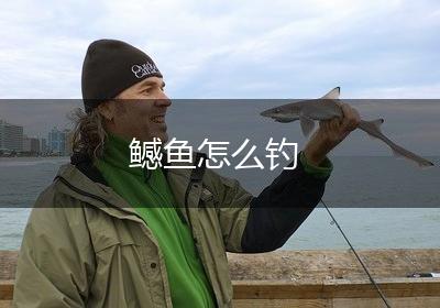 鳡鱼怎么钓