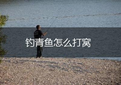 钓青鱼怎么打窝