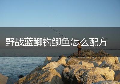 野战蓝鲫钓鲫鱼怎么配方
