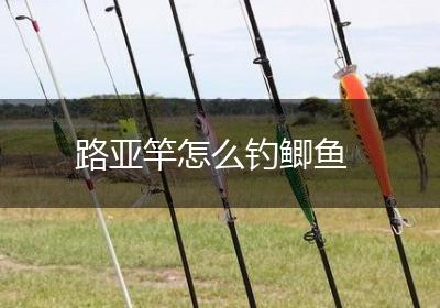 路亚竿怎么钓鲫鱼