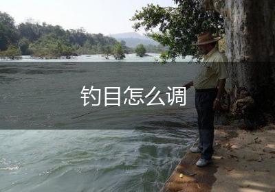 钓目怎么调
