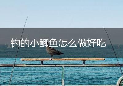 钓的小鲫鱼怎么做好吃