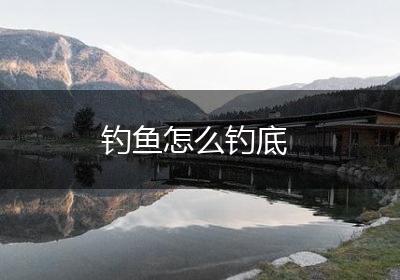 钓鱼怎么钓底