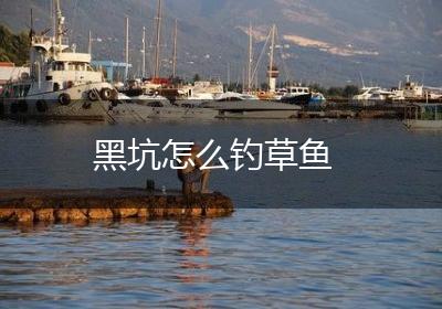 黑坑怎么钓草鱼