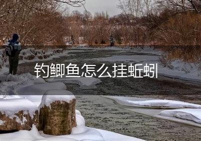 钓鲫鱼怎么挂蚯蚓