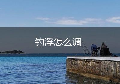 钓浮怎么调