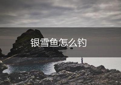 银雪鱼怎么钓