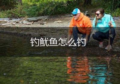 钓鱿鱼怎么钓