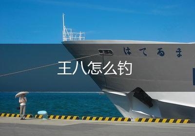 王八怎么钓