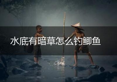 水底有暗草怎么钓鲫鱼