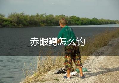 赤眼鳟怎么钓