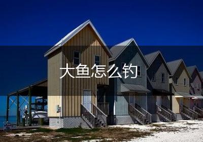 大鱼怎么钓