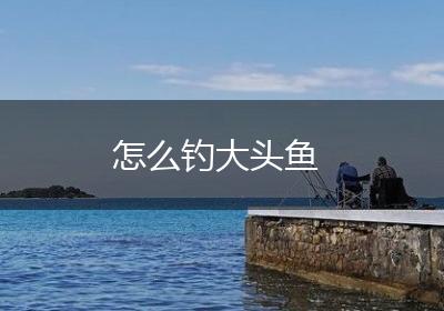 怎么钓大头鱼