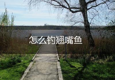 怎么钓翘嘴鱼