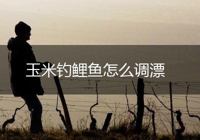玉米钓鲤鱼怎么调漂