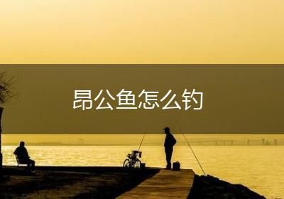 昂公鱼怎么钓