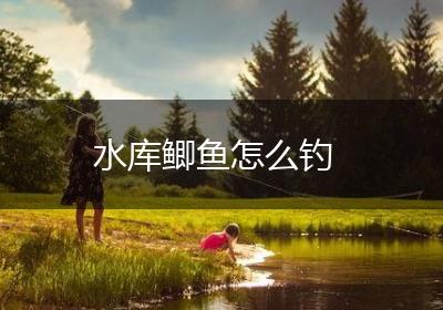 水库鲫鱼怎么钓