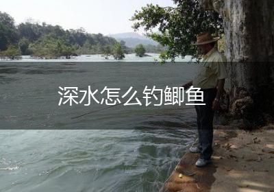 深水怎么钓鲫鱼