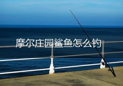 摩尔庄园鲨鱼怎么钓