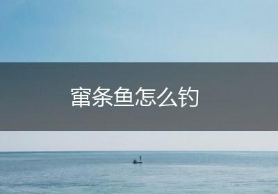 窜条鱼怎么钓