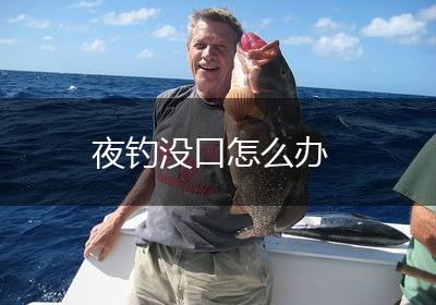 夜钓没口怎么办