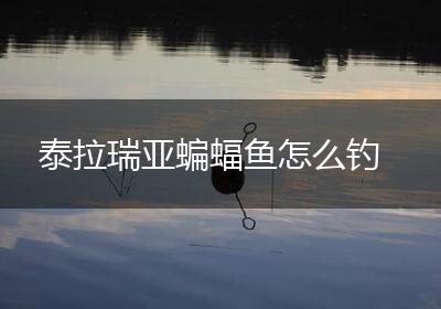 泰拉瑞亚蝙蝠鱼怎么钓