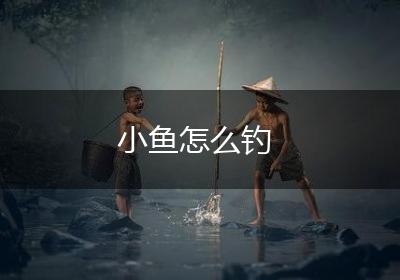 小鱼怎么钓