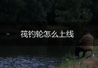 筏钓轮怎么上线